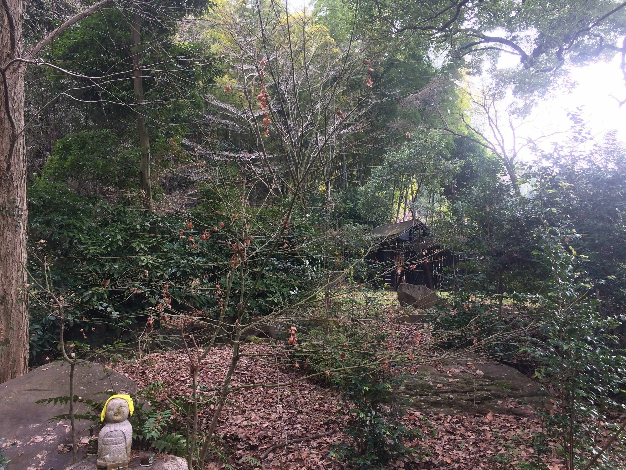 Kanko 3* Kikuchi